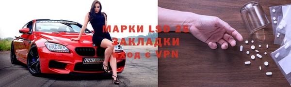 ГАЛЛЮЦИНОГЕННЫЕ ГРИБЫ Богородск