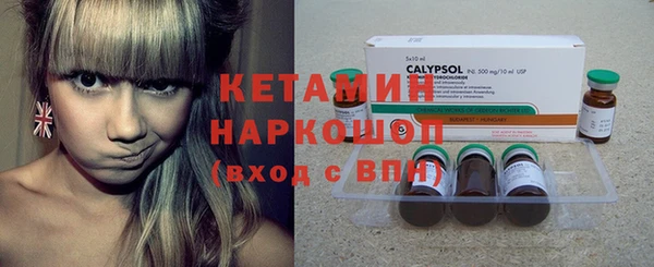 дурь Туринск