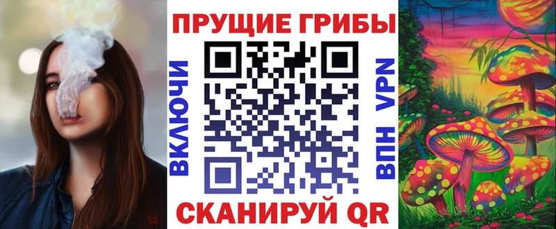 купить наркоту  Облучье  OMG как войти  Галлюциногенные грибы ЛСД 